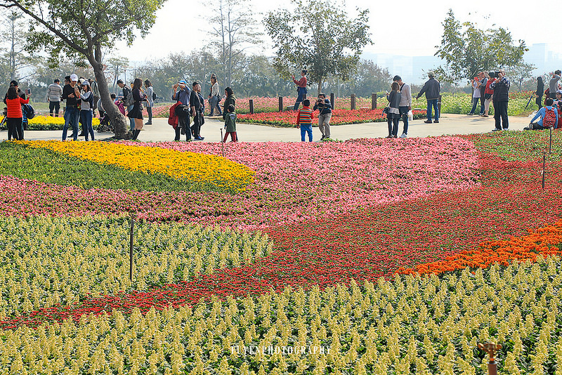 2017臺中國際花毯節43