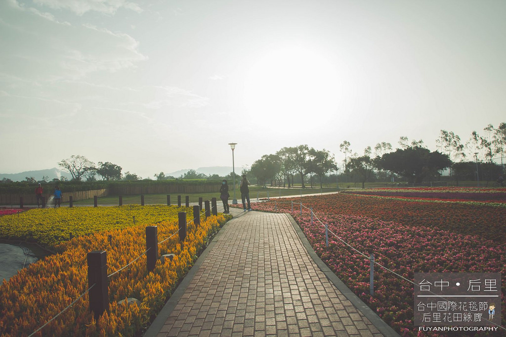 台中國際花毯節30