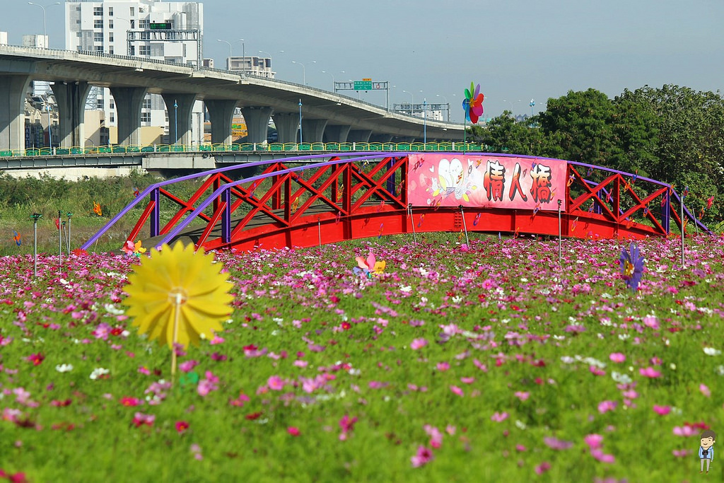 大里橋花海 (3)