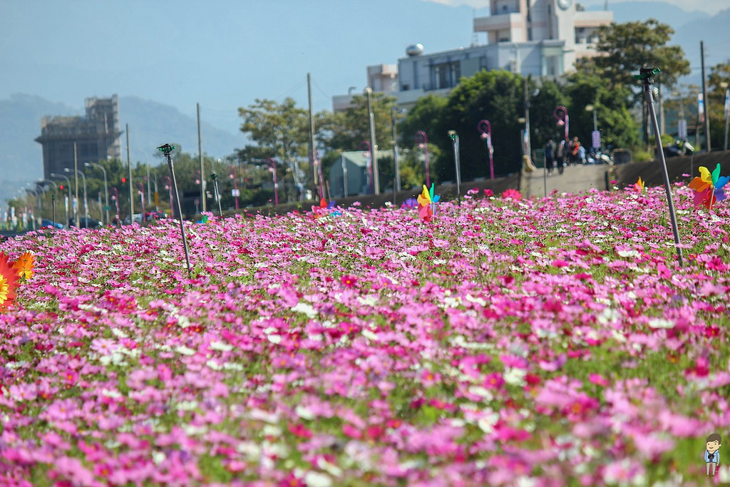 大里橋花海 (30)