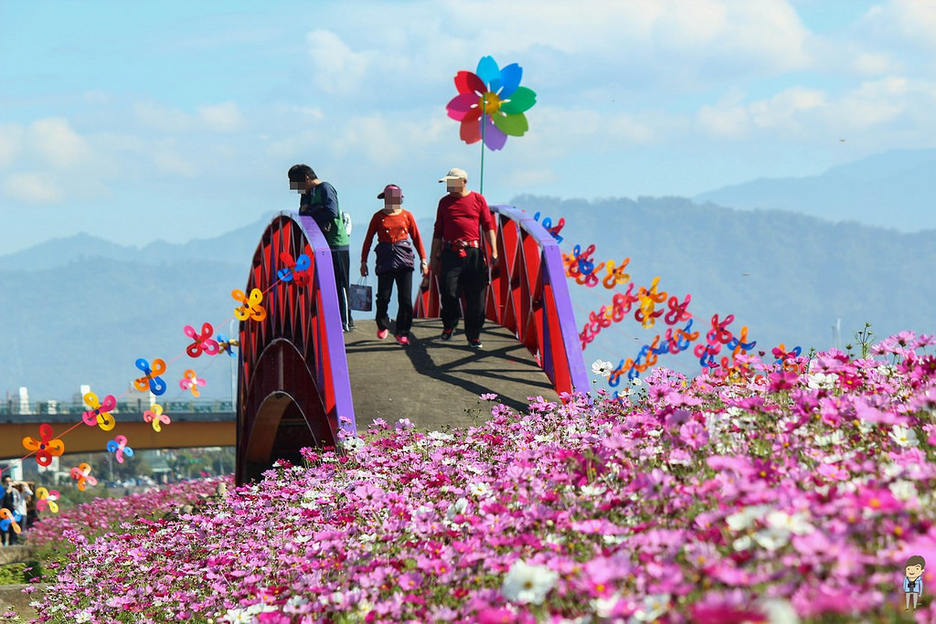 大里橋花海 (35)