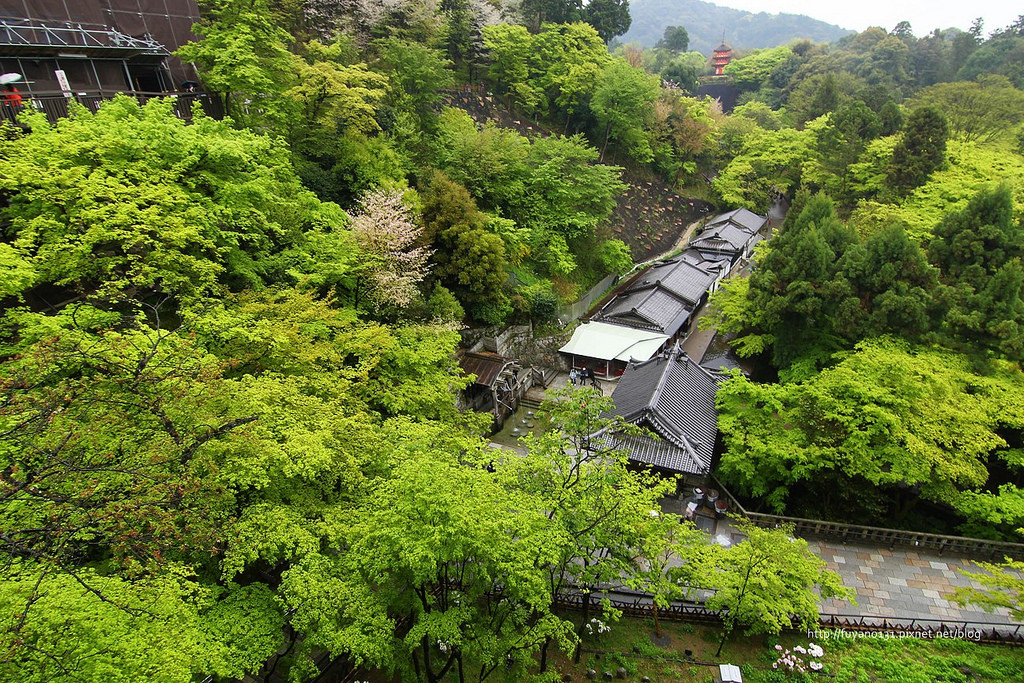 清水寺 (6)