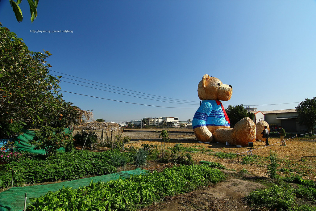 臺中地景藝術節 迷失小熊 (4)