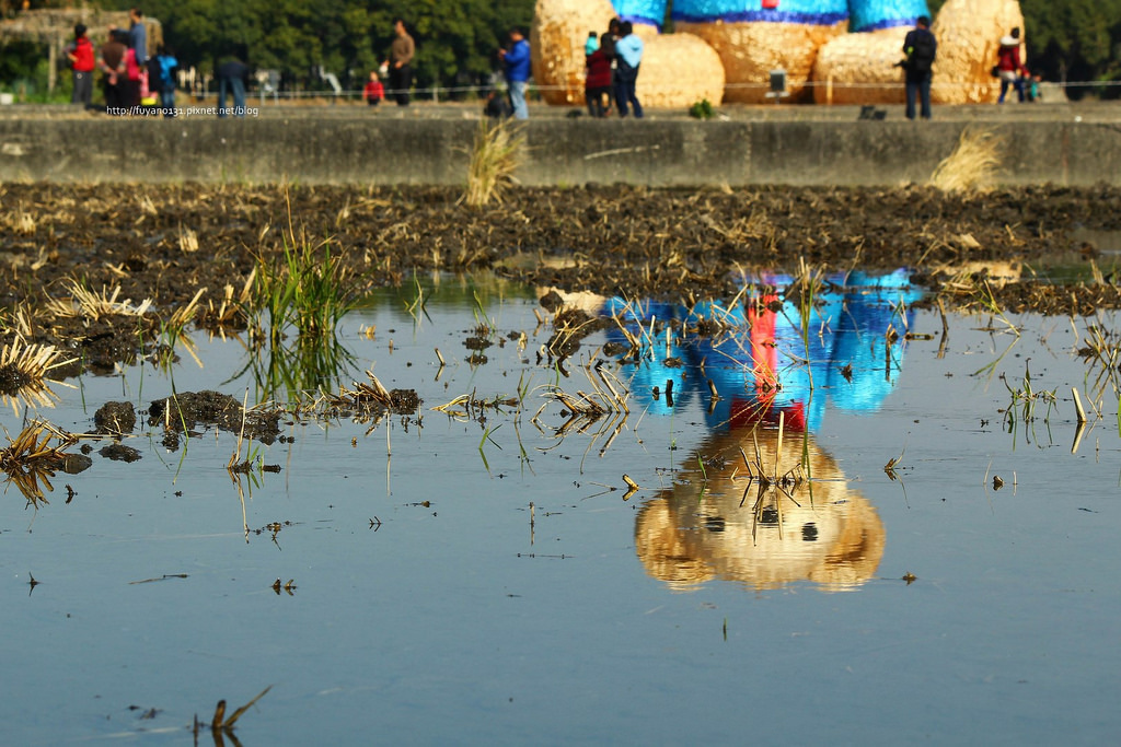臺中地景藝術節 迷失小熊 (18)