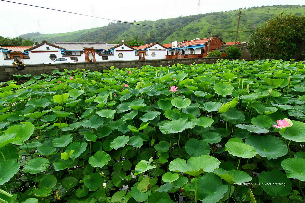 20140524-IMG_0874 (複製) (複製)