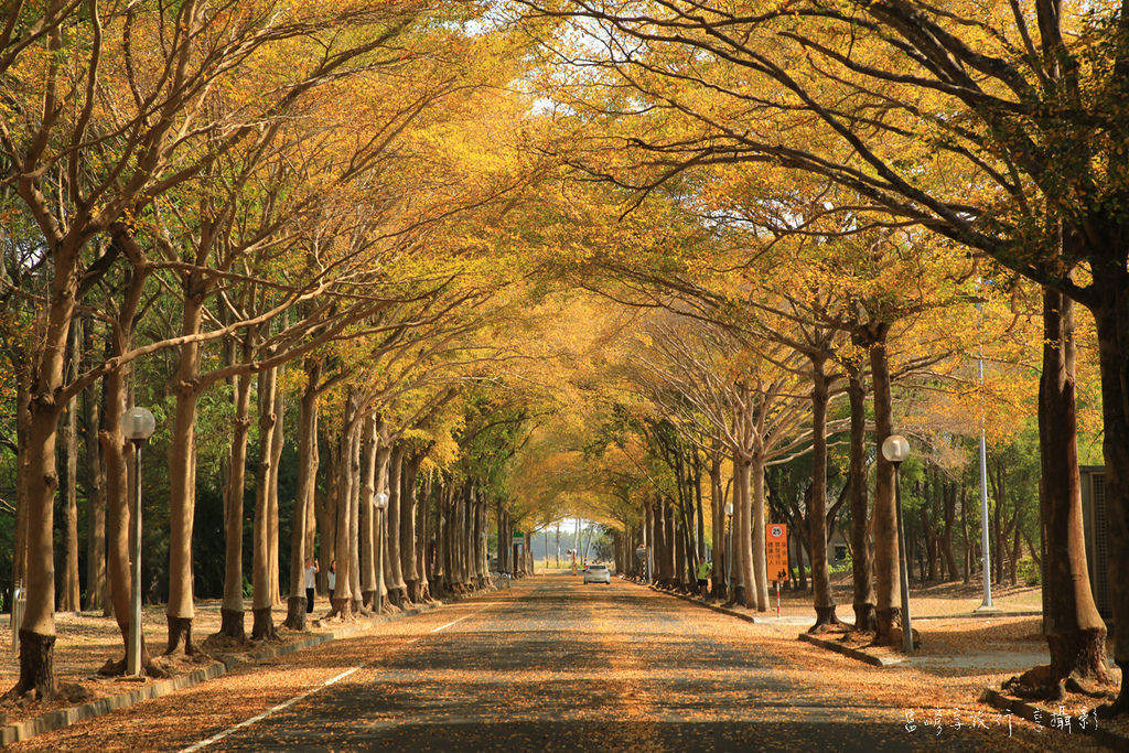 4S7A0001.jpg 4S7A0001.jpg