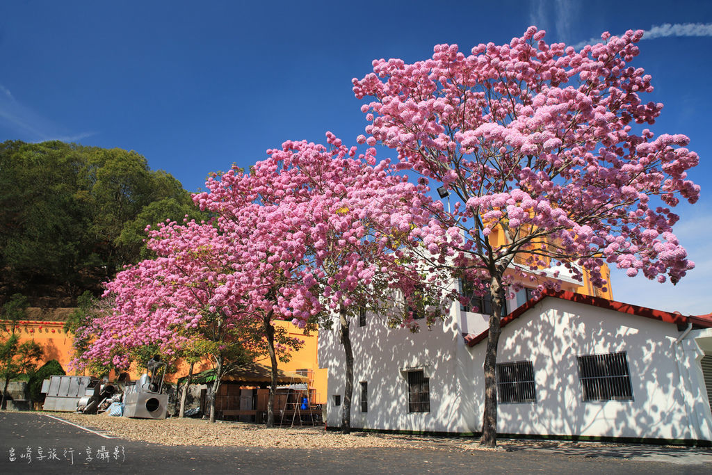 4S7A0285.jpg 4S7A0285.jpg