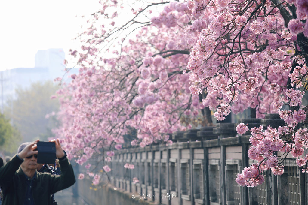 4S7A0421.jpg 4S7A0421.jpg