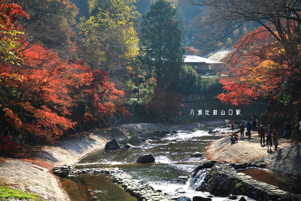 4S7A9113.jpg 4S7A9113.jpg