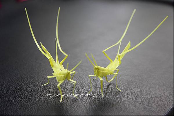 生活小創意 (2).JPG 生活小創意 (2).JPG