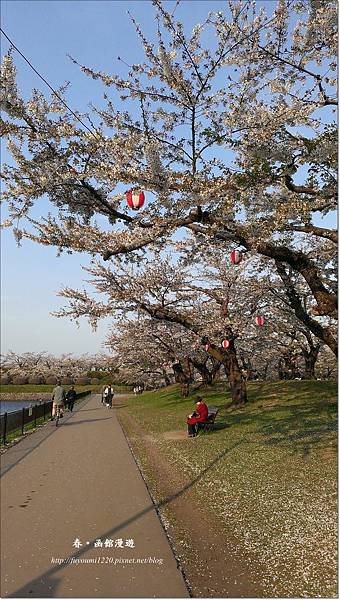 函館漫遊0507 (12).jpg