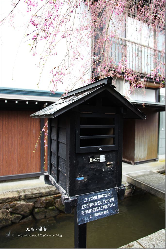 飛驒古川散策 (7).JPG