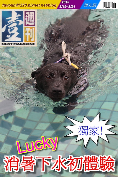 Lucky的壹周刊第五期.照片 208.jpg