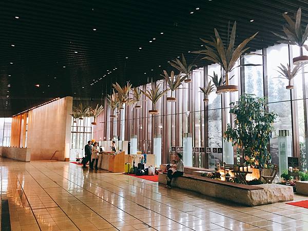 IMG_7702.JPG IMG_7702.JPG