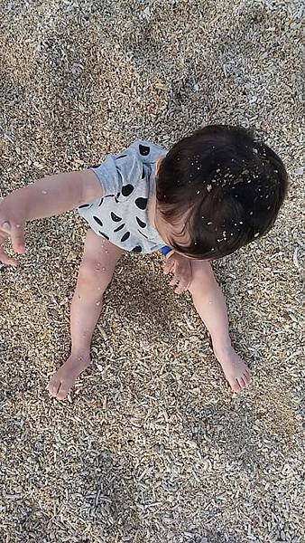 18644301_10211623081484431_898596975_n.jpg 18644301_10211623081484431_898596975_n.jpg