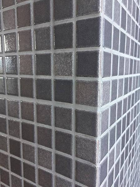 22119427_10212758264143288_1874394825_o.jpg 22119427_10212758264143288_1874394825_o.jpg