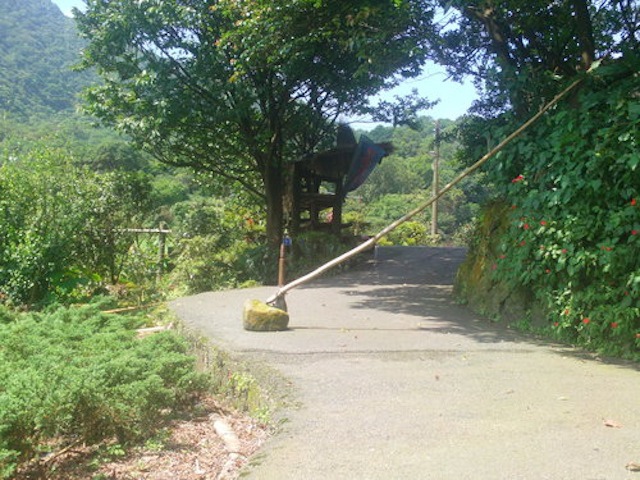 20120726八煙的水田1.jpeg 20120726八煙的水田1.jpeg