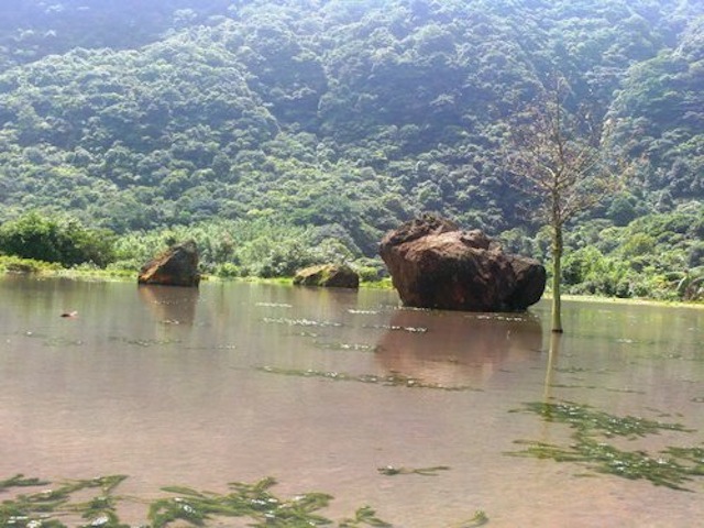 20120726八煙的水田11.jpeg