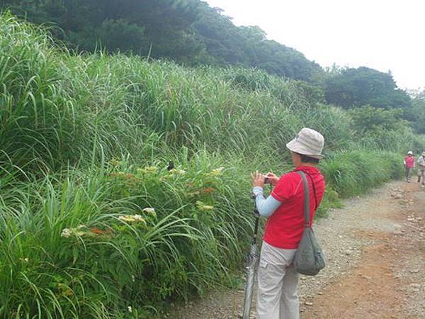 20120801二子坪面天山3.jpeg