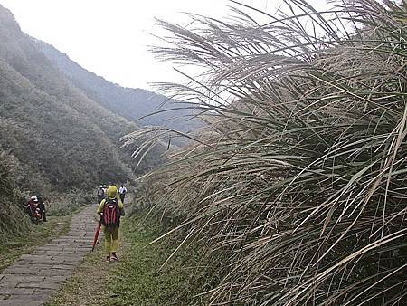 草嶺古道600.JPG