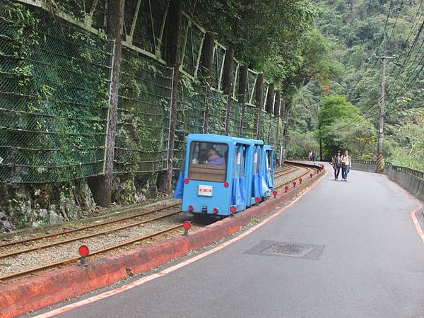 烏來情人步道0801.JPG