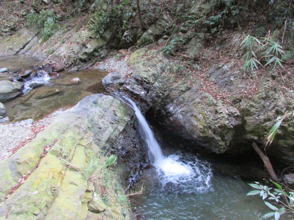 埔里泡湯502IMG_1029.JPG