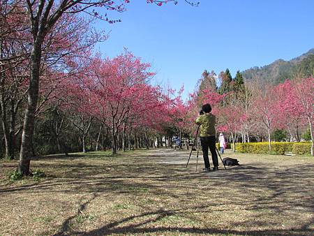 奧萬大400IMG_1286.JPG 奧萬大400IMG_1286.JPG
