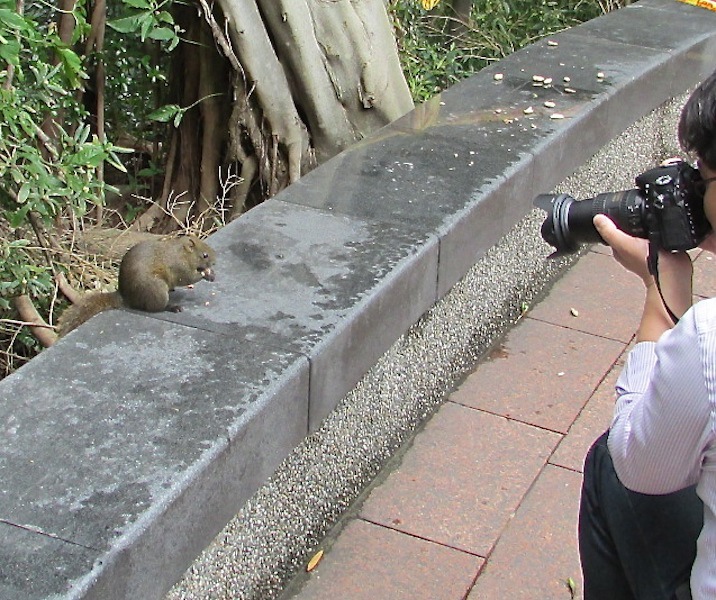 植物園102IMG_2516.JPG