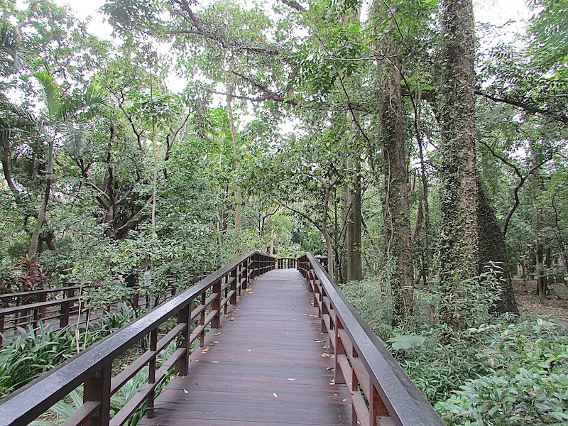 植物園110IMG_2309.JPG