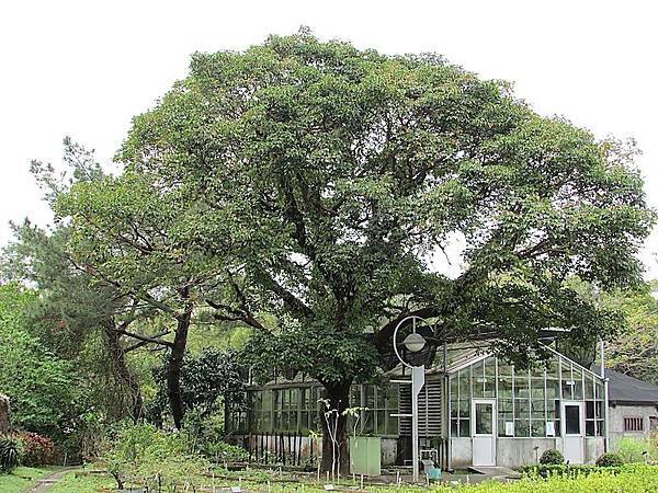 植物園122IMG_2492.JPG