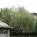 植物園123IMG_2493.JPG