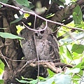 植物園203IMG_2339.JPG