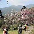 陽明山500IMG_3922.JPG