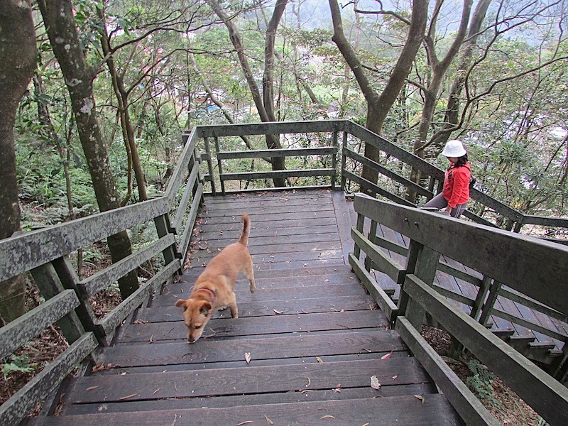 台北找茶園402IMG_4870.JPG