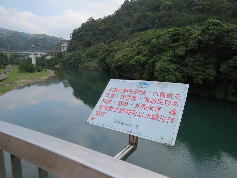 坪林白鷺鷥01IMG_5557.JPG 坪林白鷺鷥01IMG_5557.JPG