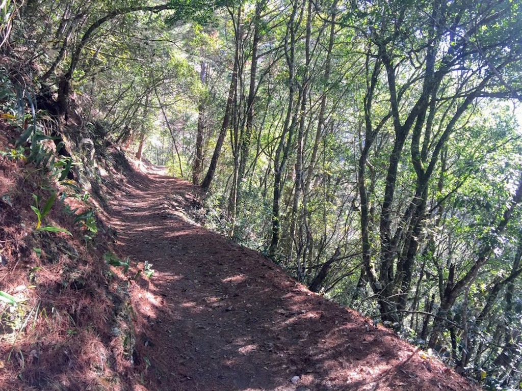 赤腹山雀霞喀羅01.jpg 赤腹山雀霞喀羅01.jpg