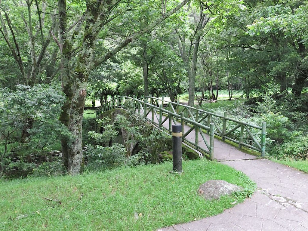 武陵農場松鴉009.jpg 武陵農場松鴉009.jpg