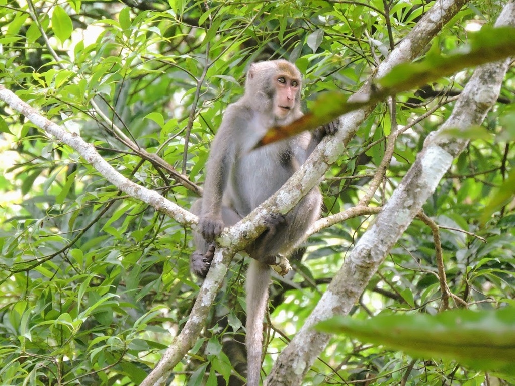 福山植物園006.jpg