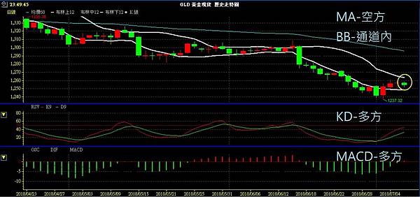 GLD XAU 黃金 貴金屬