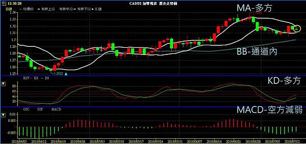 CAD 加幣 美加兌