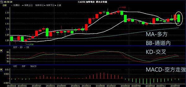 CAD 加幣 美加兌