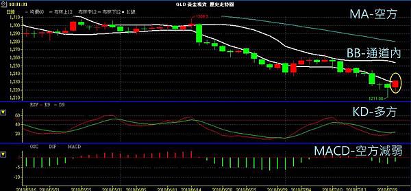 GLD XAU 黃金 貴金屬