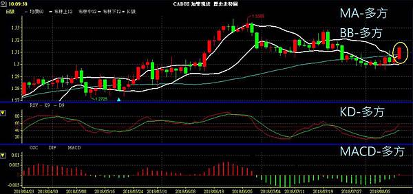 CAD 加幣 美加兌