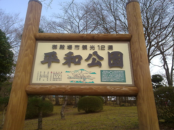 20100313374.jpg