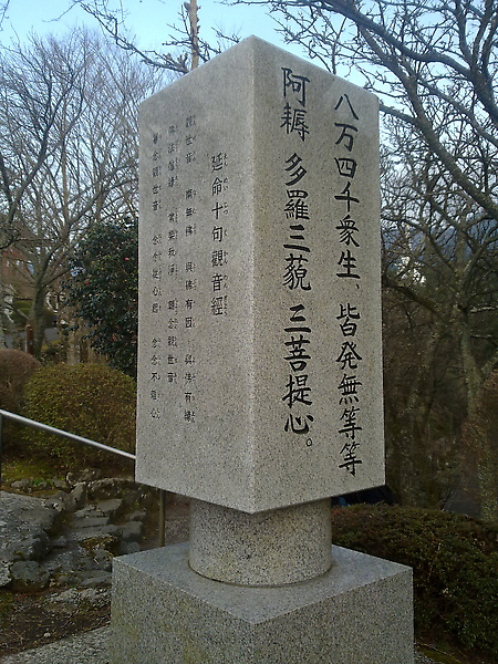 20100313396.jpg