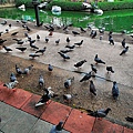 P1040357(手調) .jpg