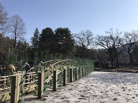 IMG_9841.JPG IMG_9841.JPG