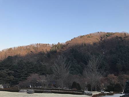 IMG_9989.JPG IMG_9989.JPG