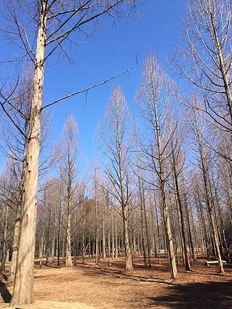 IMG_0280.JPG IMG_0280.JPG