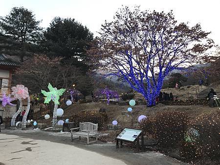 IMG_0051.JPG IMG_0051.JPG